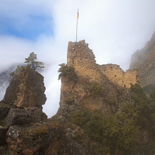 Photo #14035925