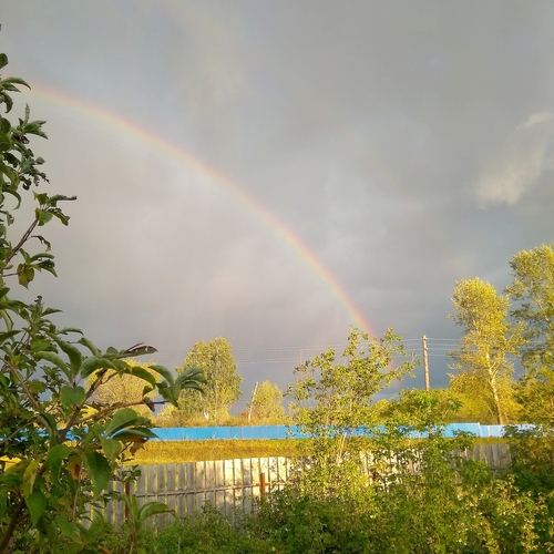 Photo #14035950