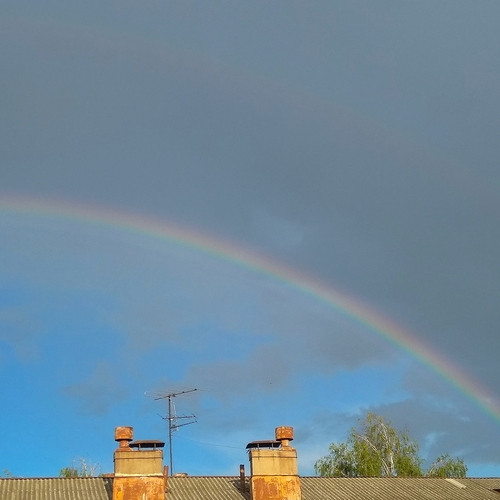 Photo #14035956
