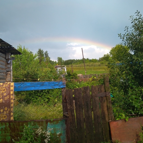 Photo #14035961