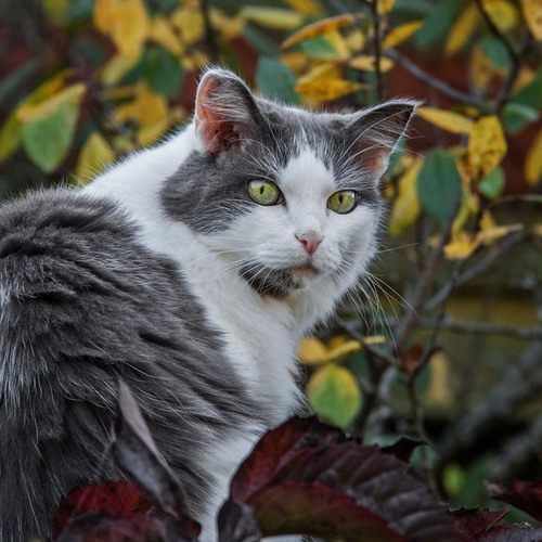 Photo #14036164