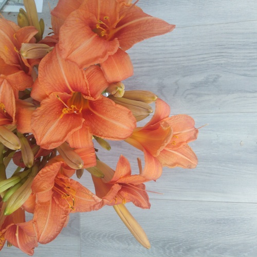 Photo #14036377