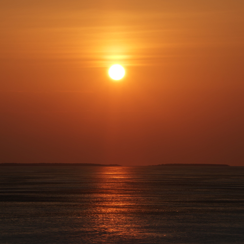 Photo #14036460