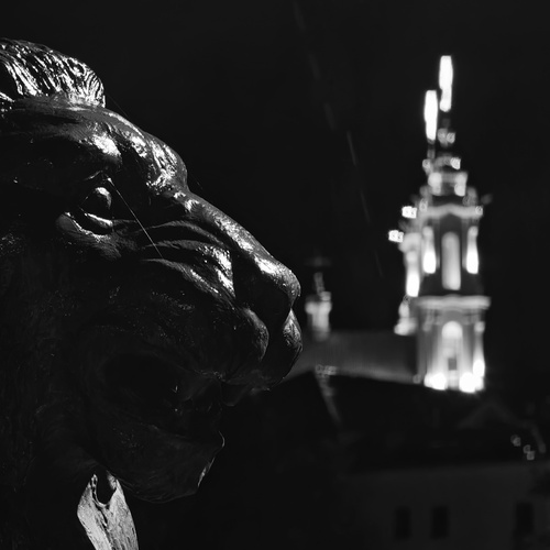Photo #14036463