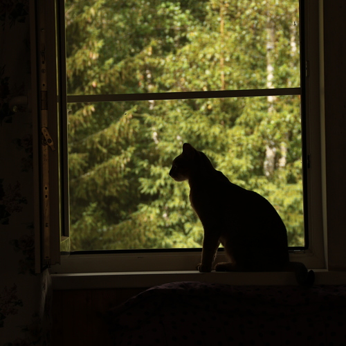 Photo #14036472