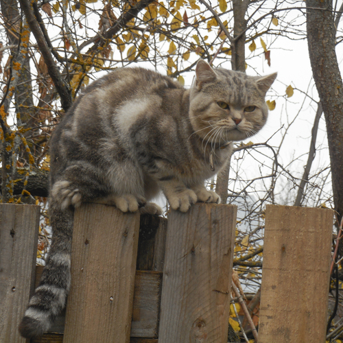 Photo #14036656