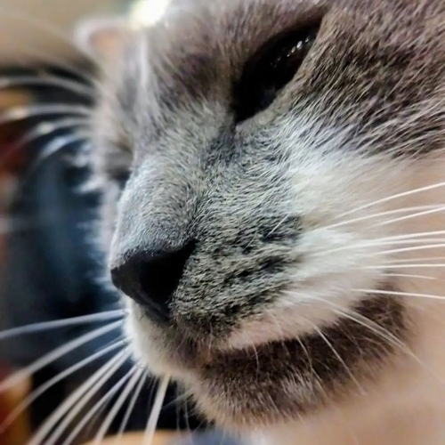 Photo #14036675