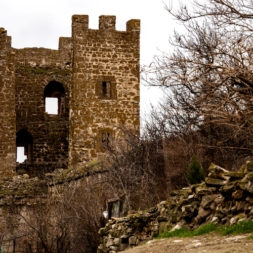 Photo #14036692
