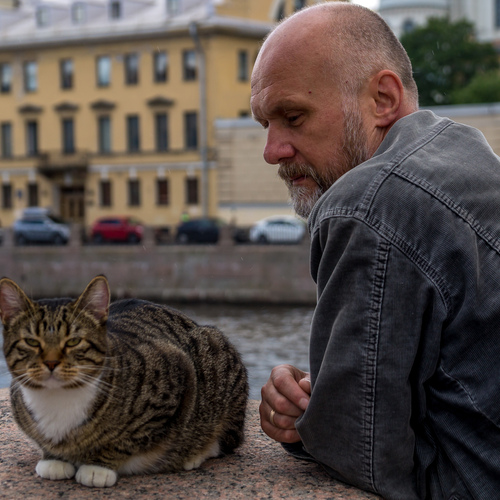 Walking The Cat