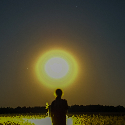 Photo #14036708