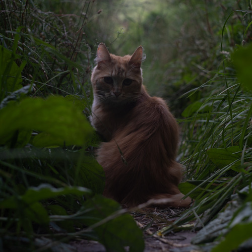 Photo #14036751