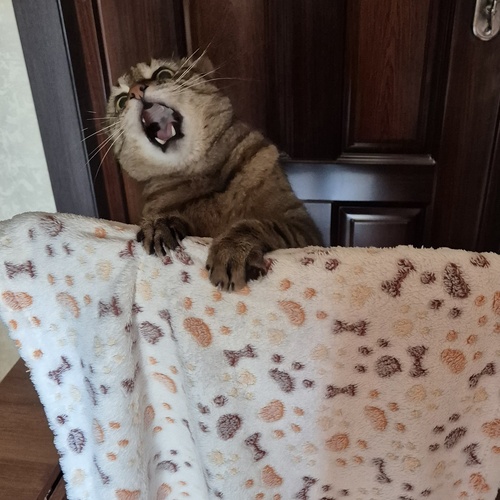 Photo #14036756