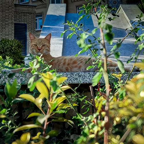 Photo #14036793