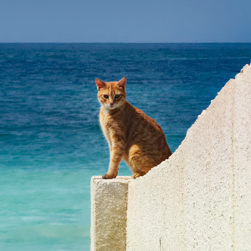 Guardian of the Marine Horizon