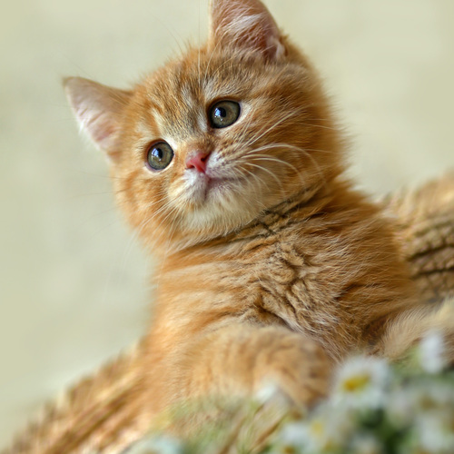 Photo #14036841