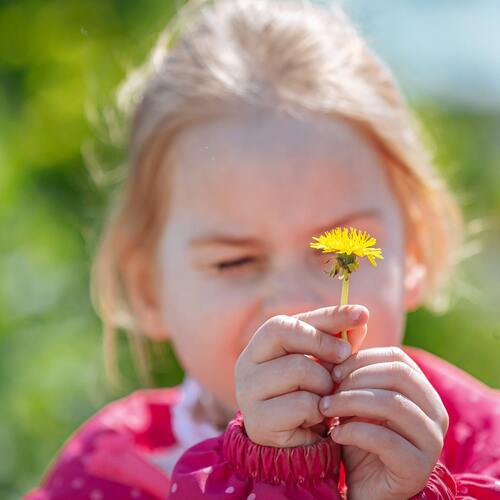 Photo #14036934