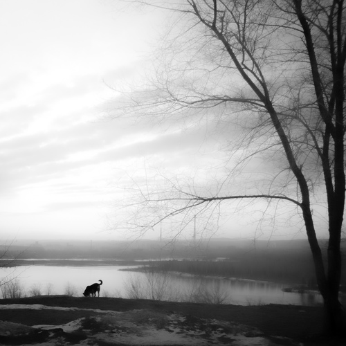 Photo #14036952