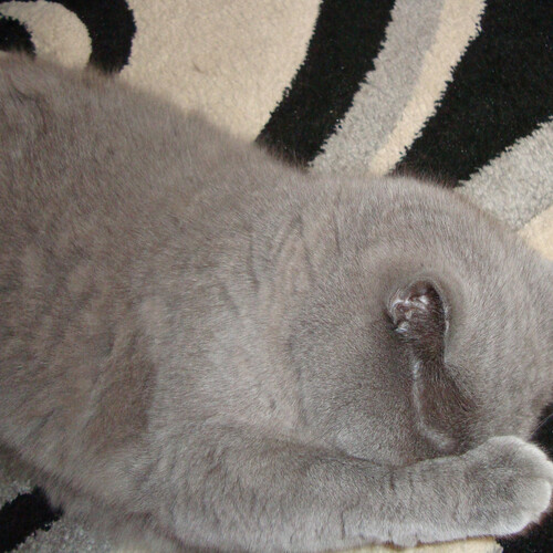 Photo #14036954