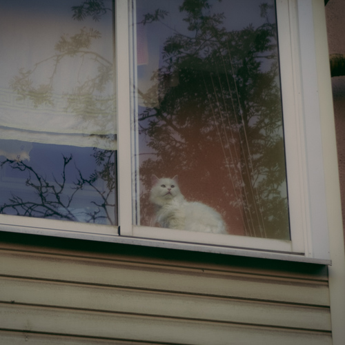 Photo #14036976