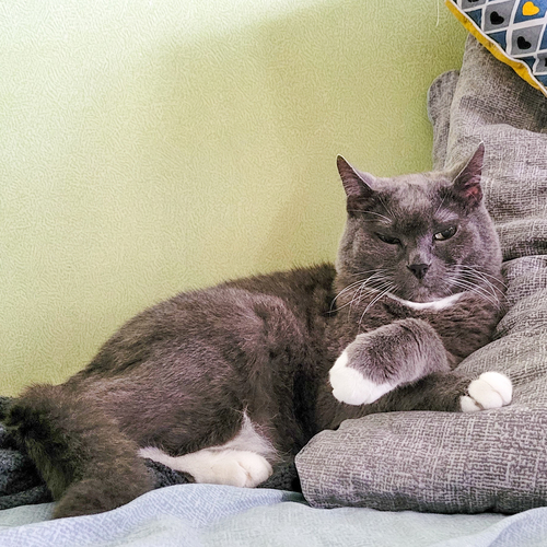 Photo #14037066