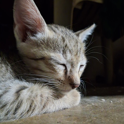 Photo #14037148