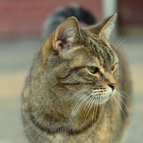 Photo #14037213