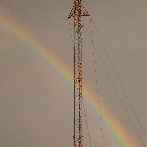 Photo #14037218