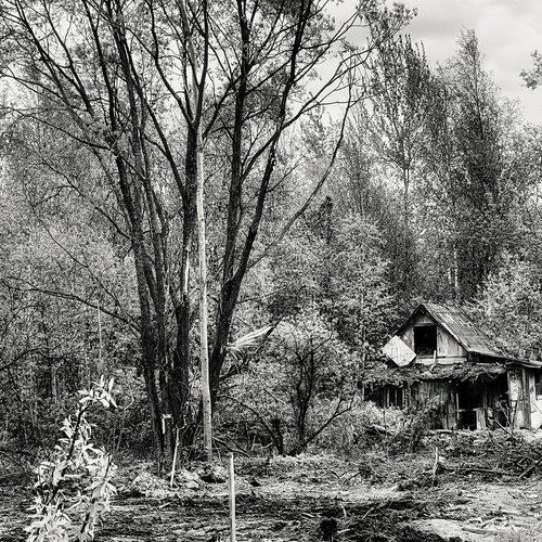 Photo #14037225
