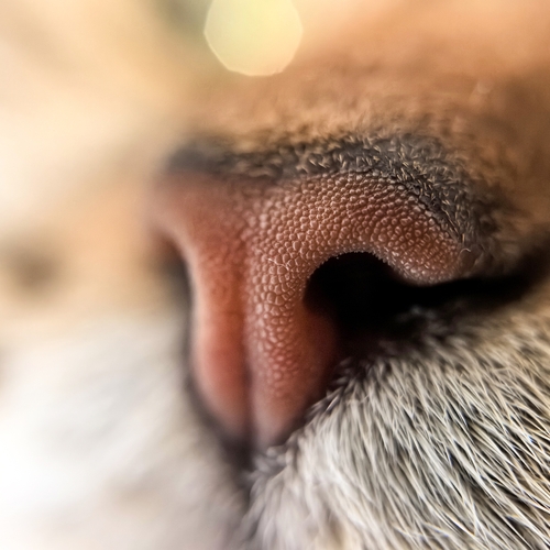 Photo #14037236