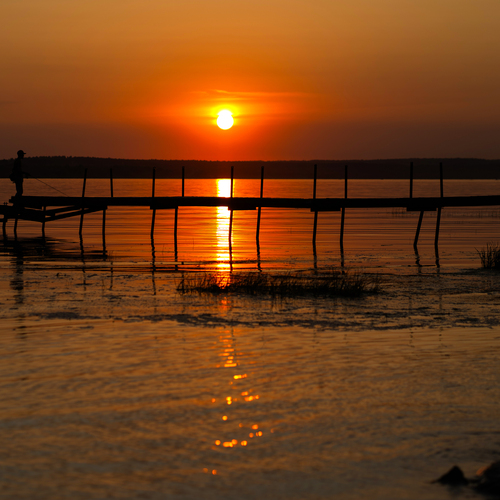 Photo #14037307