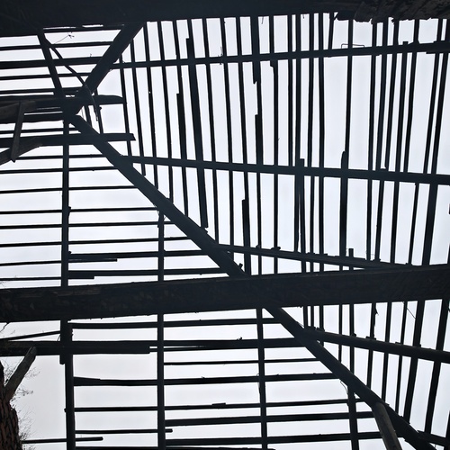 Photo #14037309