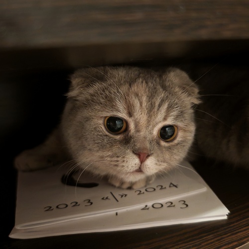Photo #14037320