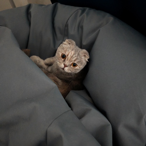 Photo #14037321