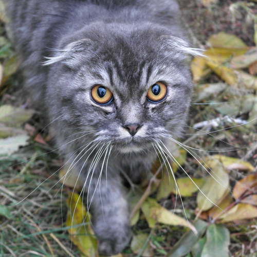 Photo #14037337