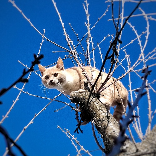 Photo #14037344