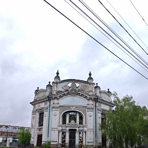 Photo #14037346