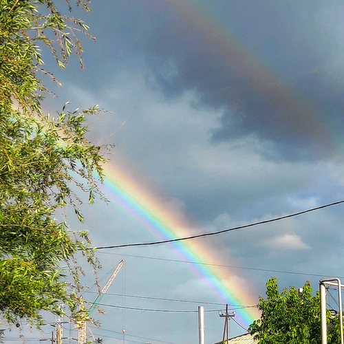 Photo #14037398