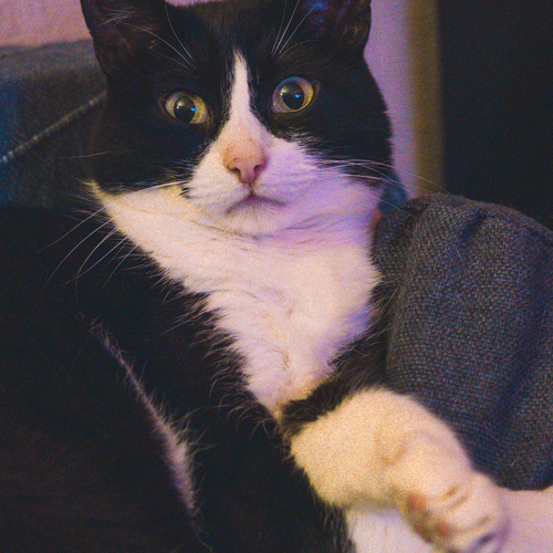 Photo #14037404