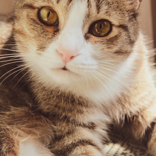 Photo #14037405