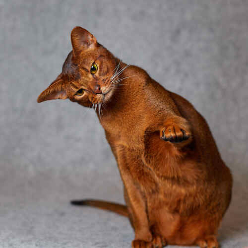 Photo #14037476