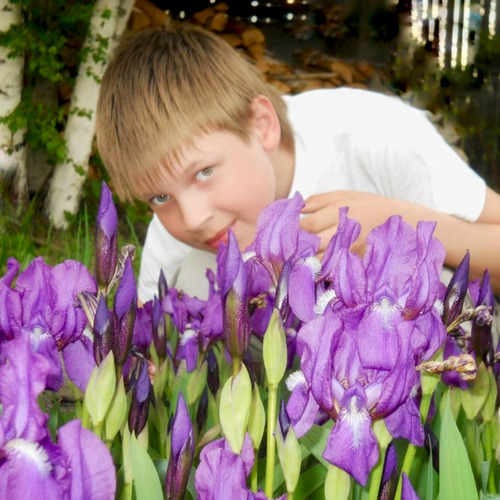 Photo #14037585