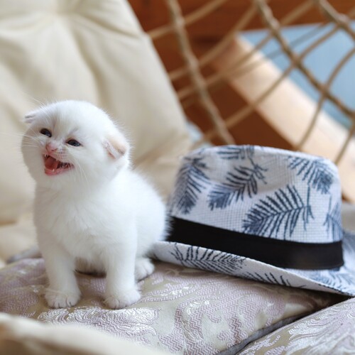 Photo #14037607