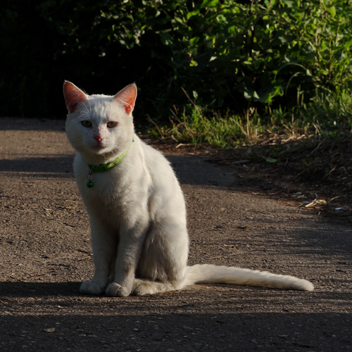 Photo #14037625