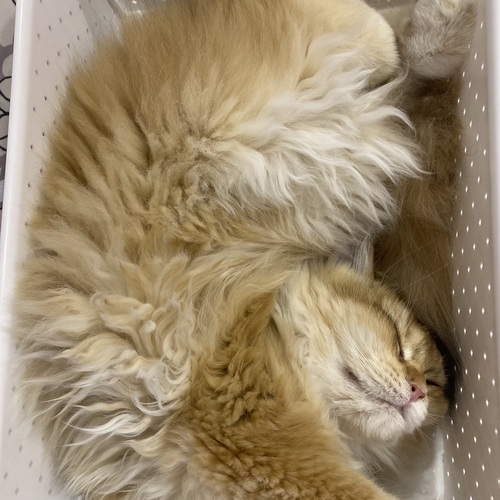 Photo #14037638