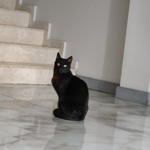 Photo #14037710