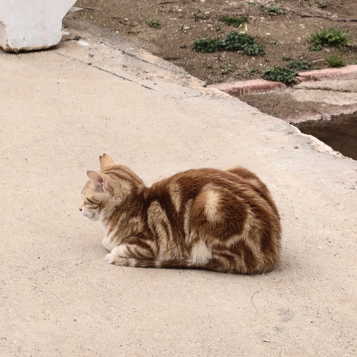 Photo #14037712