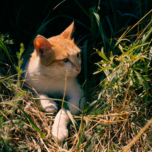 Photo #14037753
