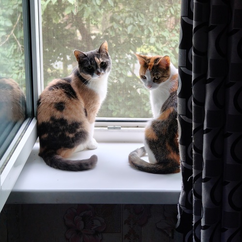 Photo #14037816