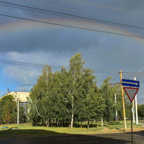 Photo #14037847