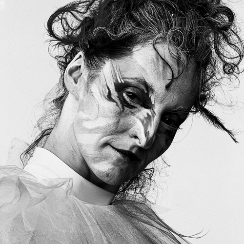 Photo #14037849